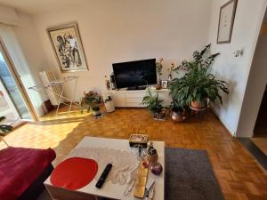 Chambre double dans un appartement avec TV, cuisine, douche et WC