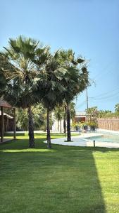 Carandaí a poucos passos do mar