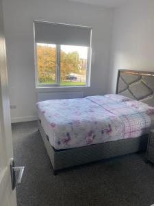 Modern design residence