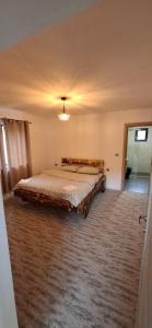 The Nest on the Hill