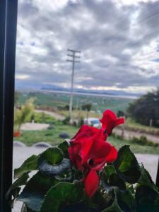 Rinconcito campesino