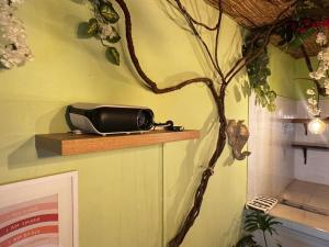 Casa Colibri - Hostel