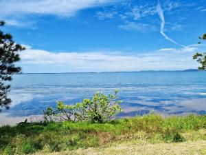 Tranquility by the Lake