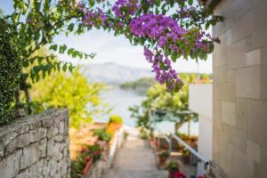 Apartment Lumbarda 4446b