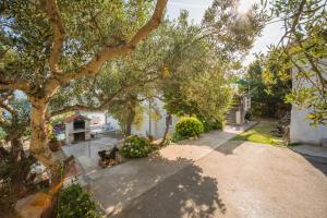 Apartment Lumbarda 4446b