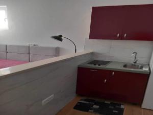 Studio Apartment with Terrace A5 ST