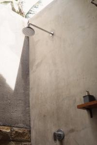 Banana surf and stay