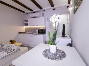 Piran Downtown Chic and Cozy Apartments - Classic One Bedroom Apartment