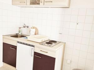 Apartments eljka - Studio Apartment with Terrace 7