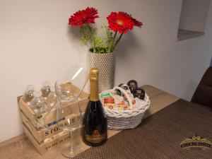 Downtown Koper Spacious Apartment with Balcony - Two Bedroom Apartment with Balcony