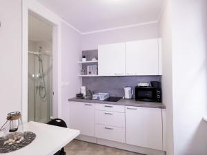 Piran Downtown Chic and Cozy Apartments - Standard One Bedroom Apartment