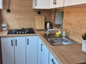 Apartment Bijonda near Arena Pula - One Bedroom Apartment