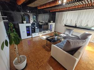 Brezovica Spacious Family-Friendy Apartment - Two Bedroom Apartment with Balcony