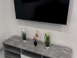 Delightful Cozy Riverside Apartment - One Bedroom Apartment with Terrace