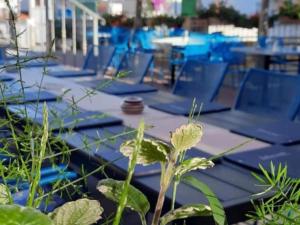 Peaceful Apartments With Style - One Bedroom Apartment