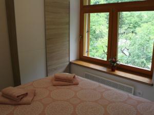 Riverside Rustic Ridge Apartments with Balcony - Two Bedroom Apartment with Balcony