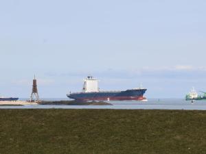 Dike crown in Haus Grimmershörn