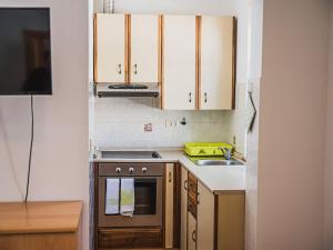 Bovec Picturesque Mountain Vista Residences - One Bedroom Apartment