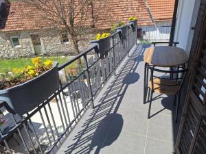 Apartment and Room Mare Vrlika - Two Bedroom Apartment with Balcony