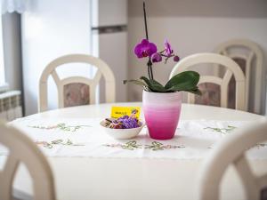 Mountain View Haven Apartments - One Bedroom Apartment with Balcony