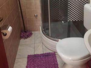 Apartments Natali - One Bedroom Apartment with Balcony APP3