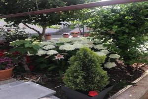 Apartments Villa Tanja - Two Bedroom Apartment with Terrace