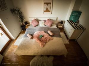 Rustic Refuge Glamping with Hot-Tub and Sauna - Two Bedroom Apartment with Terrace