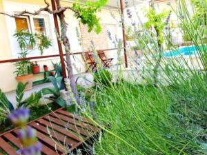 Apartments Kegalj - Studio with Garden View