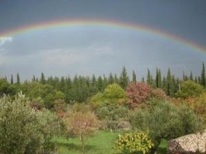 One Bedroom Apartment With Terrace A1