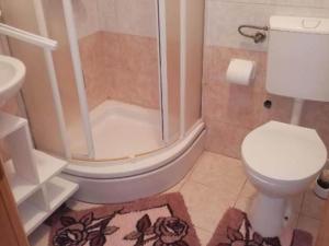 One Bedroom Apartment With Terrace A1