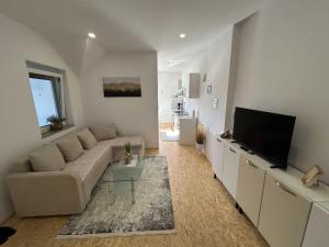 City Modern and Vibrant Apartments Ljubljana - Standard One Bedroom Apartment
