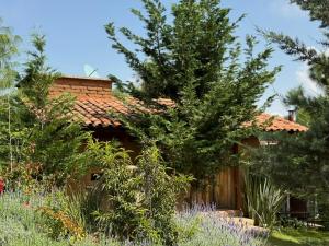 Cabaña Puma Tapalpa