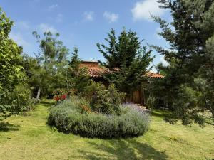 Cabaña Puma Tapalpa