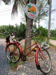 Olala Cafe and Bungalow