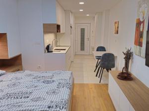 Dobrava Sea View Apartment with Terrace - Studio Apartment with Terrace