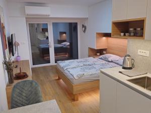 Dobrava Sea View Apartment with Terrace - Studio Apartment with Terrace