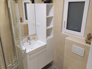 Dobrava Sea View Apartment with Terrace - Studio Apartment with Terrace