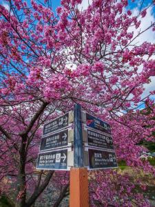 Izu Imaihama Tokyu Hotel