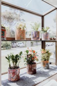 Bask - Family Friendly Home