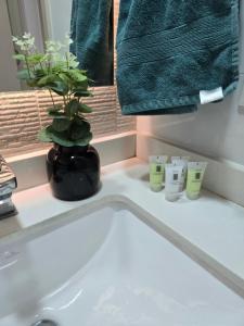 Tranquilidad y comodidad en la ciudad