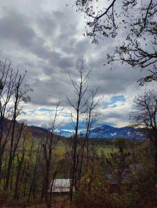 Muddy-Tales I Your cob home