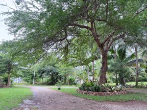 BanrabianglayLangsuan room C