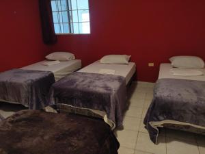 Agartha - Peace & Quiet - Nature Retreat