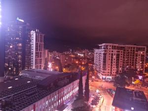 მშვიდი გარემო საოჯახო აპარტამენტი