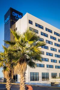 One Chihuahua Fashion Mall