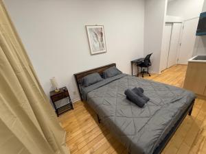 1 bedroom apartment near Montreal downtown with parking
