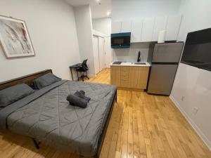 1 bedroom apartment near Montreal downtown with parking