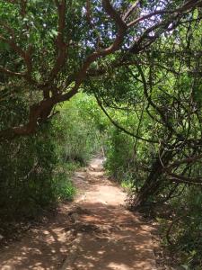 Sigiriya Eco Lodge & Accommodation - Sigiriya CES Field Base