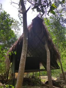 Sigiriya Eco Lodge & Accommodation - Sigiriya CES Field Base