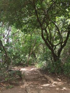 Sigiriya Eco Lodge & Accommodation - Sigiriya CES Field Base